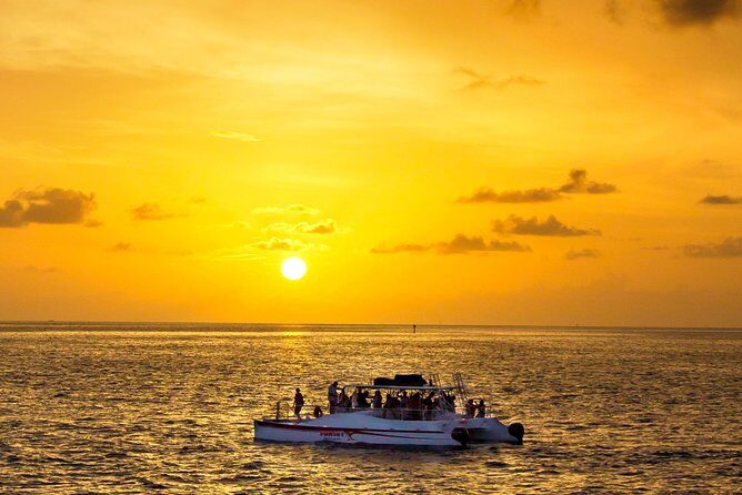 Key West Dolphin and Snorkel Experience - Key Points