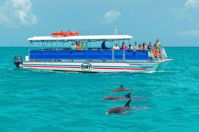 Key West Dolphin Watch and Snorkel Tour - Eco Adventure - An Overview of the Tour Experience