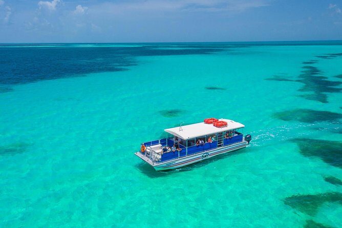 Key West Dolphin Watch and Snorkel Tour - Eco Adventure - Final Thoughts: Is the Key West Dolphin Watch and Snorkel Tour Right for You?