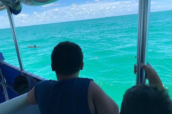 Key West Dolphin Watch and Snorkel Tour - Eco Adventure - FAQ