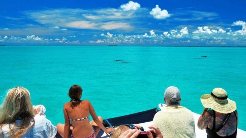 Key West: Dolphin Watching and Snorkeling Eco Cruise Tour - Introduction