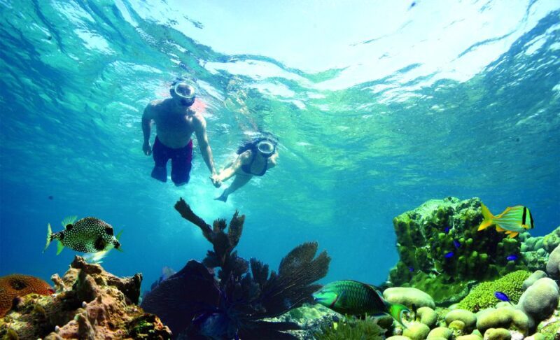 Key West: Dolphin Watching and Snorkeling Eco Cruise Tour - The Practicalities