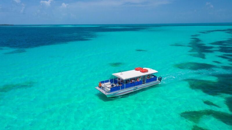 Key West: Dolphin Watching and Snorkeling Eco Cruise Tour - Guest Experience and Authenticity