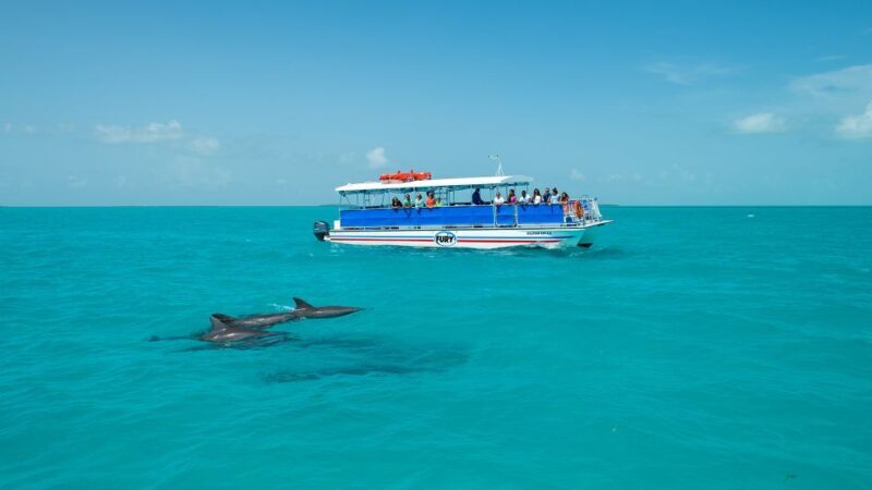 Key West: Dolphin Watching and Snorkeling Eco Cruise Tour - The Sum Up