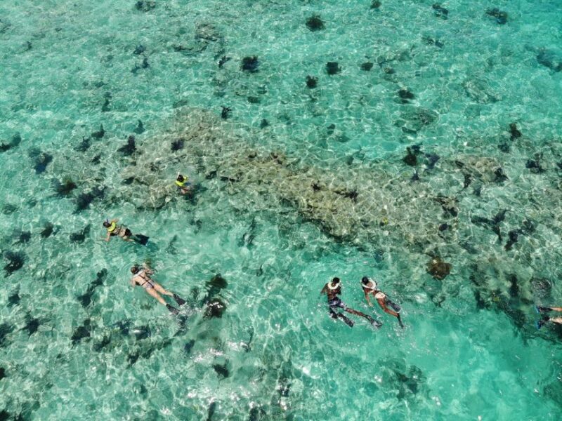 Key West: Dolphin Watching and Snorkeling Sunset Cruise - An Honest Look at the Experience