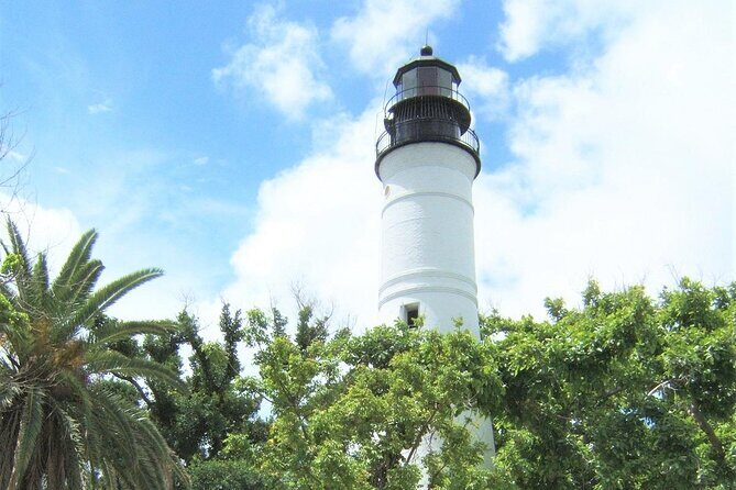 Key West: Dolphin Watching cruise & Snorkeling unlimited beer & soda - Key Points