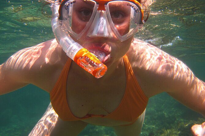 Key West: Dolphin Watching cruise & Snorkeling unlimited beer & soda - Who Will Love This Tour?