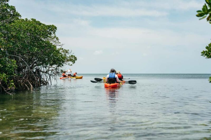 Key West: Hidden Sanctuary Kayak Tour with Sandbar Safari - Final Thoughts: Is it Worth It?