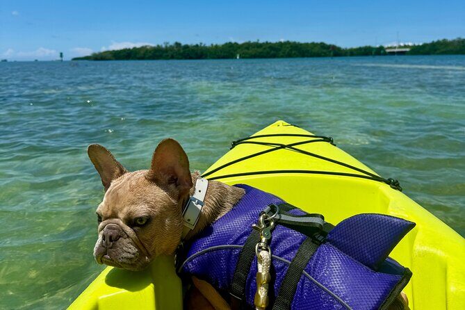 Key West Kayak Eco Tour | An Eco-Friendly Adventure Awaits! - Key Points