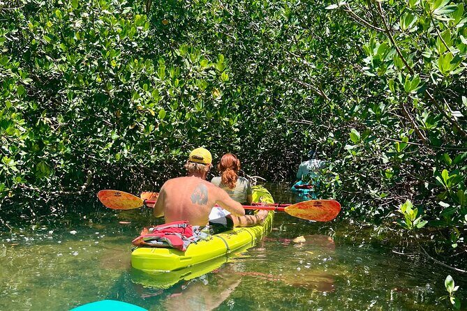 Key West Kayak Eco Tour | An Eco-Friendly Adventure Awaits! - FAQ