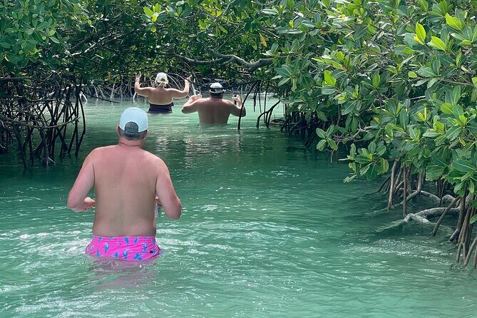 Key West Kayak Eco Tour | An Eco-Friendly Adventure Awaits! - In The Sum Up