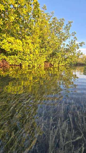 Key West: Kayak or Paddleboard Rental - Practical Details and Value