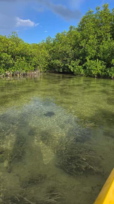 Key West: Kayak or Paddleboard Rental - Final Thoughts: Who Should Try This?