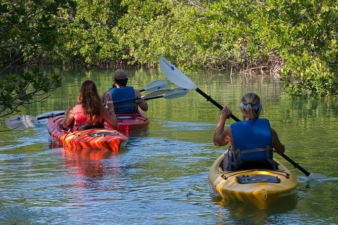 Key West Kayak Rental - An Insider’s Look at the Key West Kayak Experience