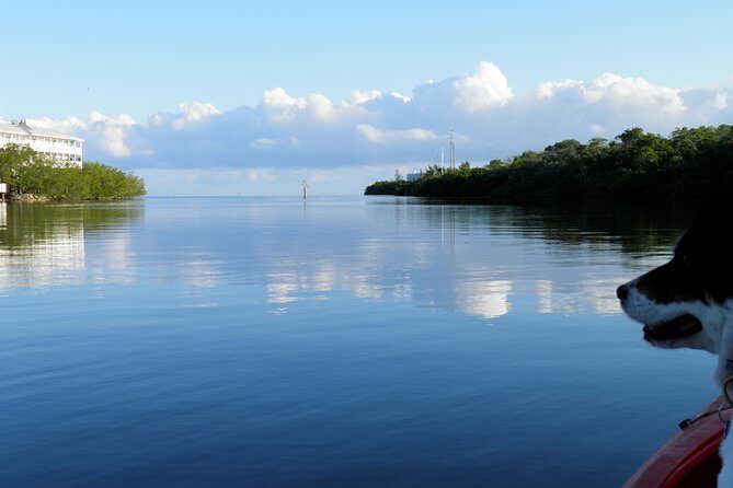 Key West Kayak Rental - Why This Kayak Rental Is a Good Value