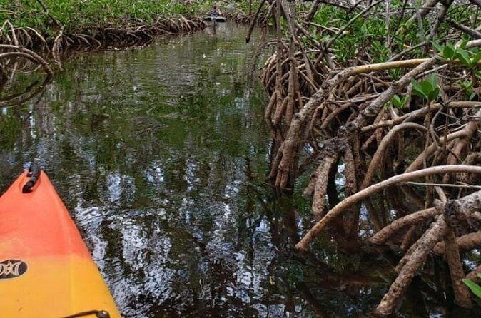Key West Kayak Rental - Final Thoughts: Who Should Book This?