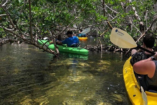 Key West Kayak Rental - FAQ