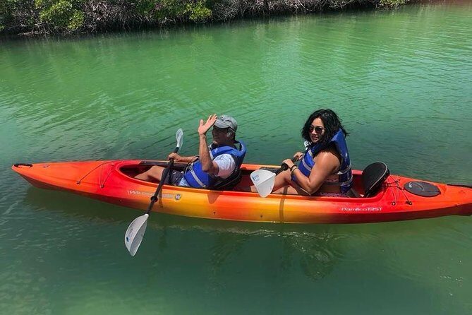Key West Mangrove Kayak Eco Tour - What to Expect on the Mangrove Kayak Eco Tour