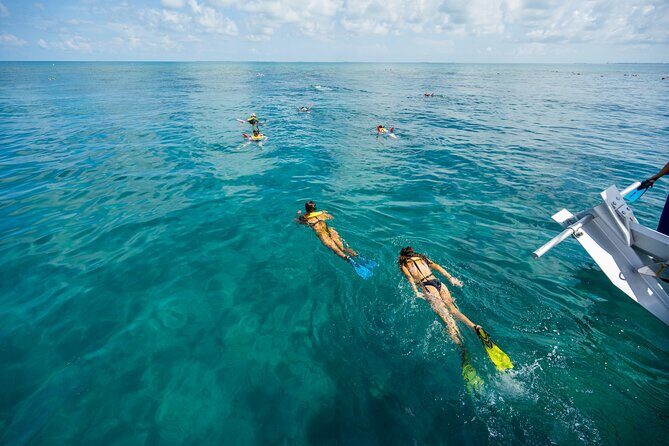 Key West Ragin' Cajun Seafood Two Stop Snorkel Adventure - Snorkeling at Two Prime Spots