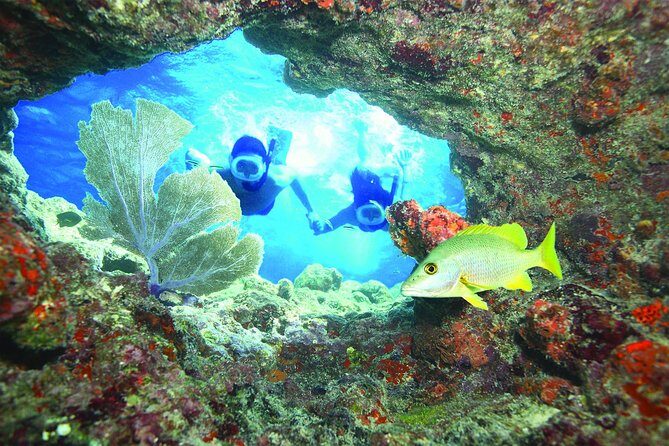 Key West Reef Snorkel Morning Mimosas or Afternoon Margaritas - Key Points