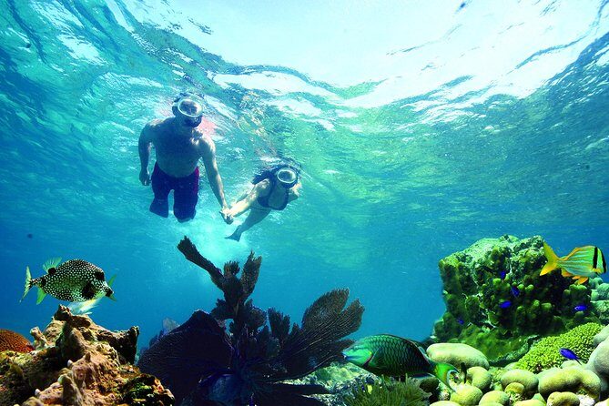 Key West Reef Snorkel Morning Mimosas or Afternoon Margaritas - The Experience for Different Travelers