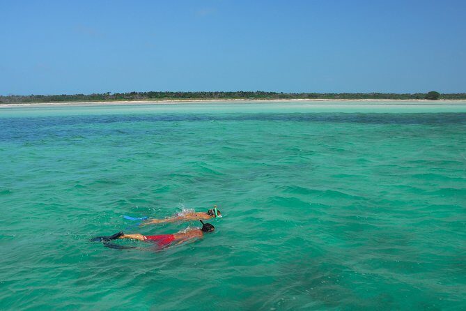 Key West Reef Snorkel Morning Mimosas or Afternoon Margaritas - Who Will Love This Tour?
