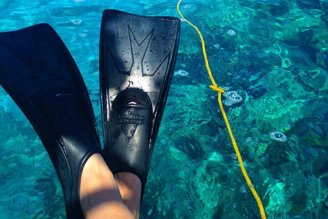 Key West Reef Snorkel & Sail Adventure - A Closer Look at the Experience