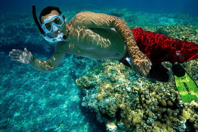 Key West Rum and Reggae: Reef Snorkel Adventure and Sunset Sail - An Introduction to the Experience