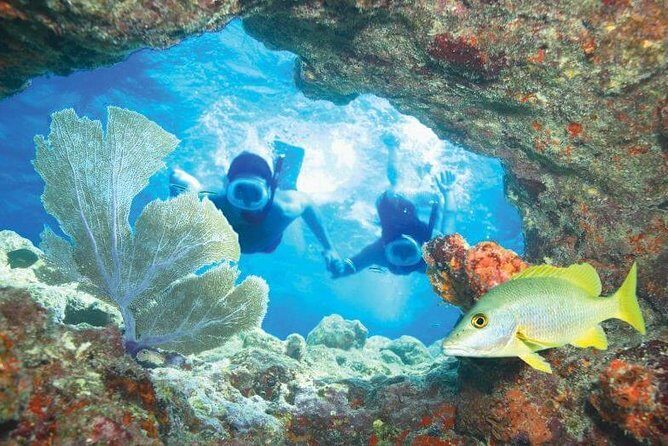Key West Rum and Reggae: Reef Snorkel Adventure and Sunset Sail - The Snorkeling Expedition