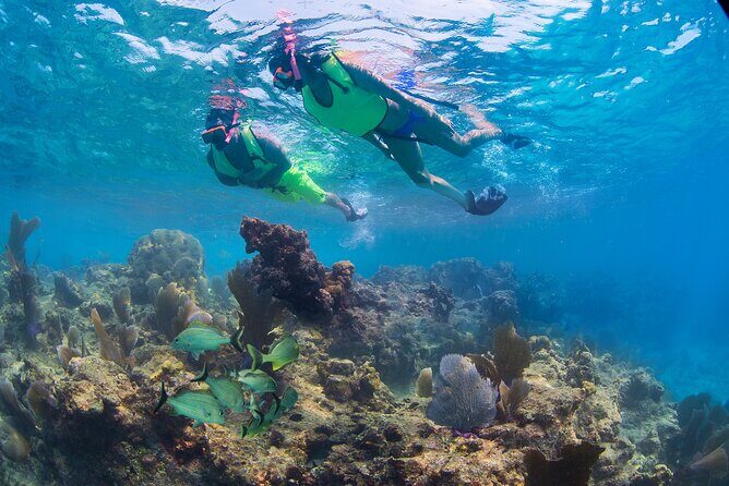 Key West Rum and Reggae: Reef Snorkel Adventure and Sunset Sail - The Return and End of Tour