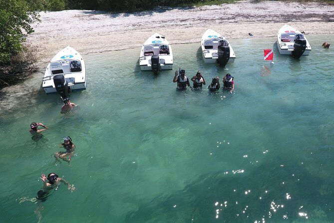 Key West Safari Eco Sandbar Tour Adventure with Snorkeling - An In-Depth Look at the Safari Eco Sandbar Tour