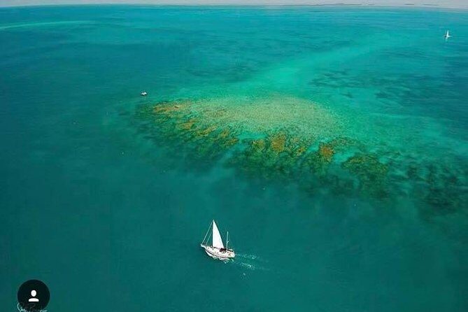 Key West Sailing & Snorkeling: A Reef Adventure - Snorkeling at the Reef