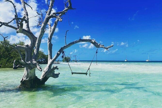 Key West Sandbar Charter - Who Would Love This Tour?