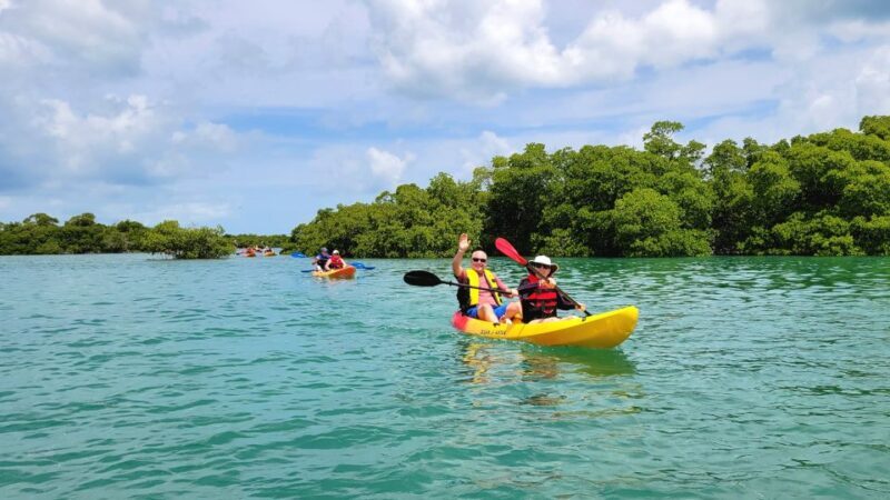 Key West: Sandbar Excursion & Kayak Tour with Lunch & Drinks - FAQ: Practical Questions Answered