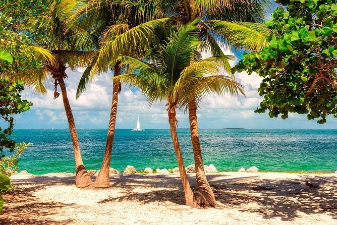 Key West Small Group from Miami - Exploring the Heart of Key West: Duval Street and Rain Barrel Village