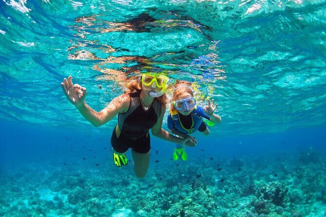 Key West Snorkeling with Breakfast and Unlimited Mimosas - Who Should Consider This Tour?