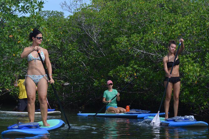 Key West Stand Up Paddleboard Rental - What to Expect on Your Paddleboard Adventure