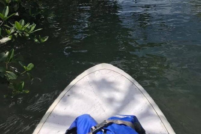 Key West Stand Up Paddleboard Rental - Detailed Breakdown of the Itinerary