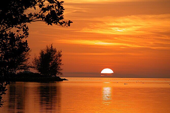 Key West: Sunset Sail Full Bar, Live Music & Dinner & Early Morning Snorkeling - Introduction