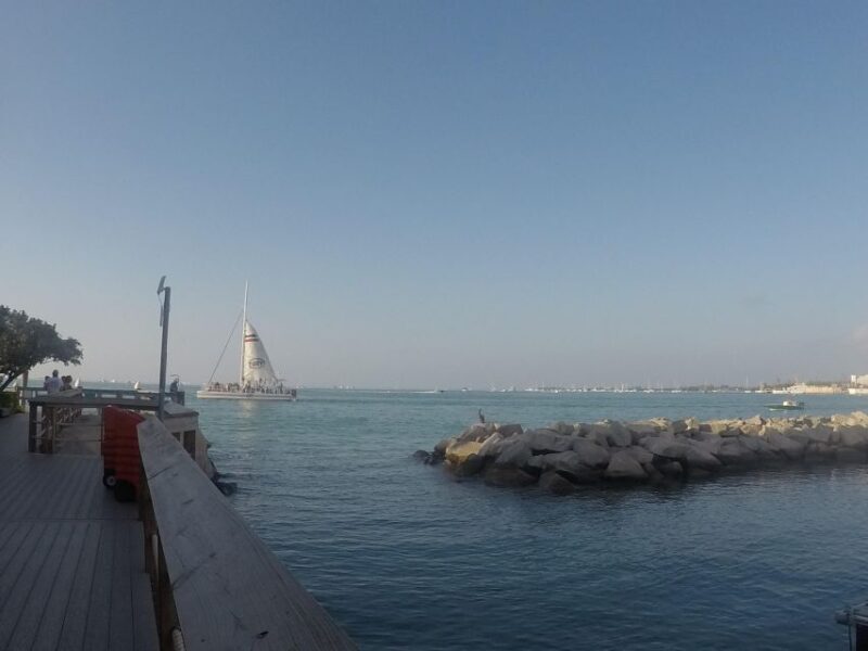 Key West Tour and Coral Reef Snorkeling with Open Bar - An Overview of the Tour: What You Can Expect