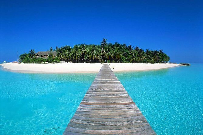 Key West Tour from Miami Private - Free Time in Key West: Explore Your Way