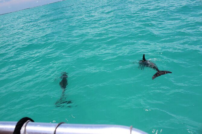 Key West Tours from Miami: Dolphin Discovery, Snorkeling & More ! - Who Should Consider This Tour?