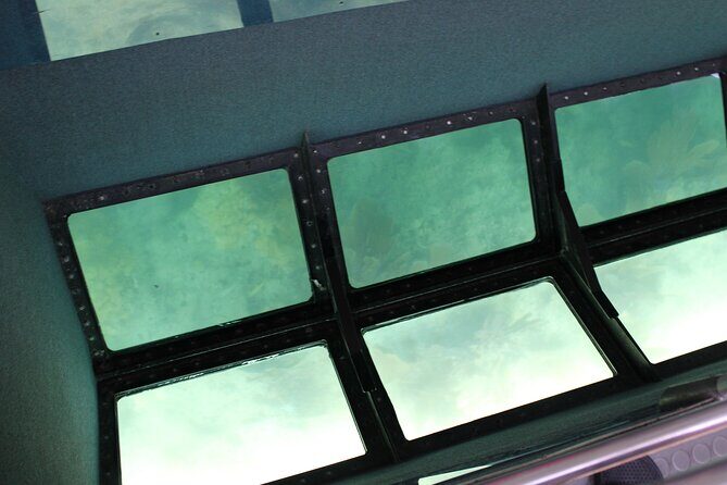 Key West Tours from Miami: Dolphin Discovery, Snorkeling & More ! - In Summary