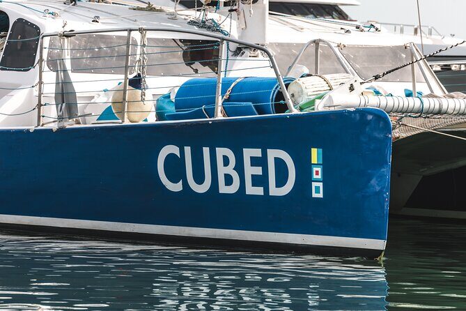 Key West's Favorite Afternoon Dolphin Sail - Key Points
