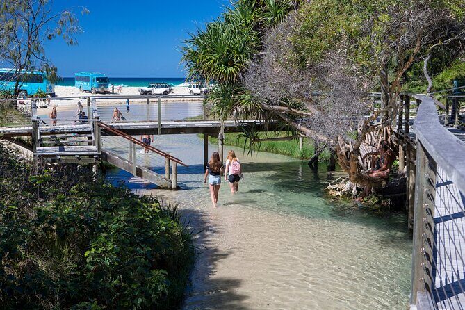 K'gari (Fraser Island) All Inclusive Day Tour - Introduction: Who This Tour Is Perfect For