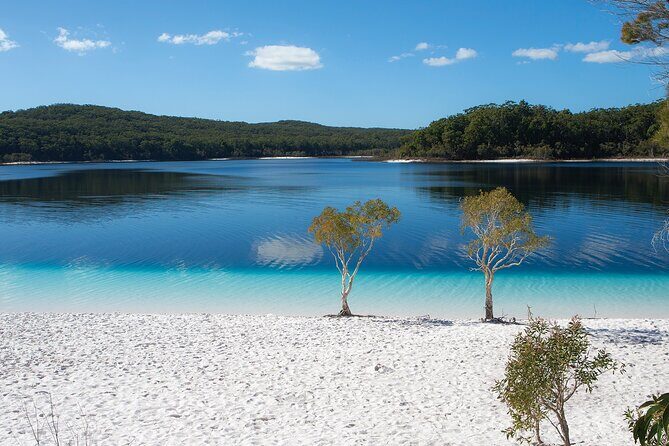K'gari (Fraser Island) All Inclusive Day Tour - Transportation and Comfort