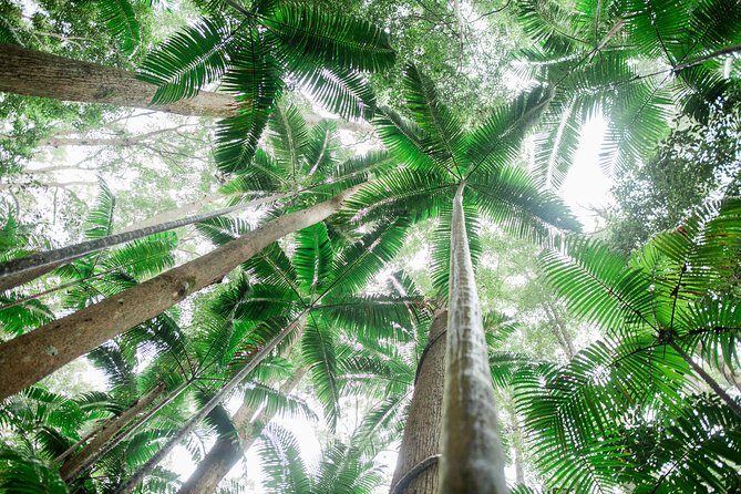 K'gari (Fraser Island) Explorer 2-Day Tour - An In-Depth Look at the Fraser Island 2-Day Tour