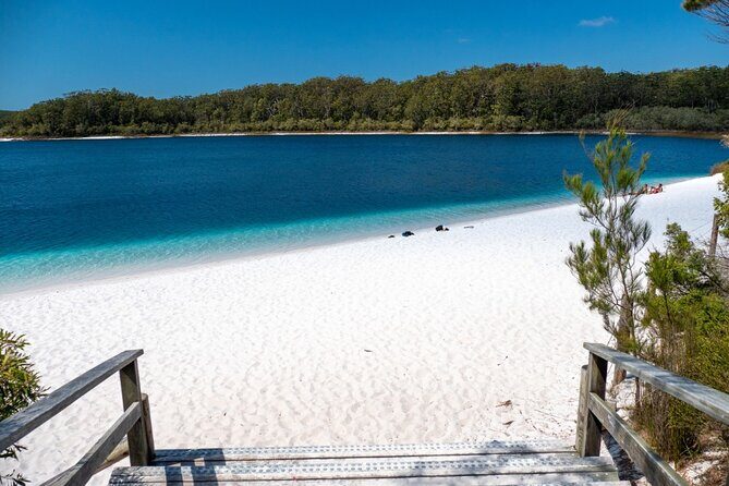 K'gari (Fraser Island) Small Group Day Tour - From Rainbow Beach - Winding Through the Rainforest at Central Station