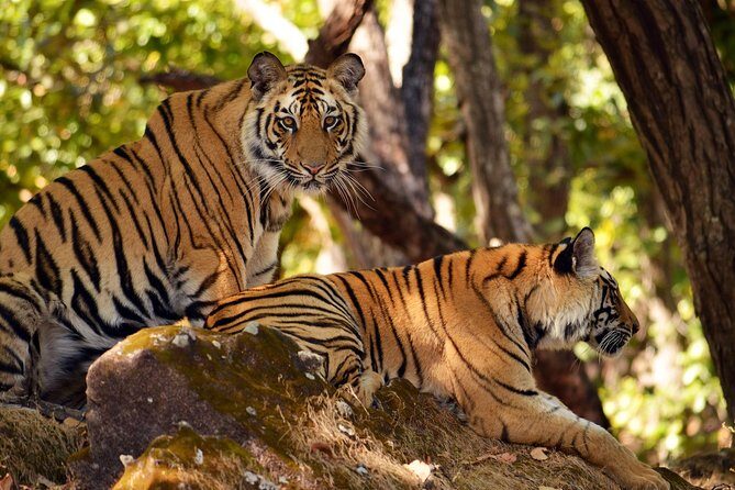 Khajuraho Erotica & Panna Exotica Wildlife - Key Points