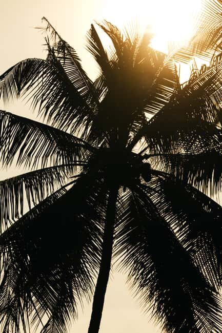 Khao Lak: 1.5-Hour Small Group Surfing Experience - Who Will Love This Tour?